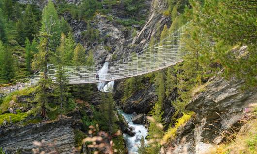 Sensibilisierung Südtiroler Bevölkerung