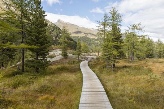 Entspannen und Wohlfühlen