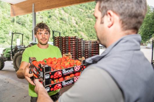 Marteller Erzeugergenossenschaft