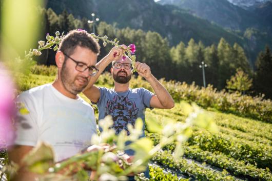 Südtiroler Kräuterrebellen